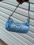 Baby Blue Coach Purse